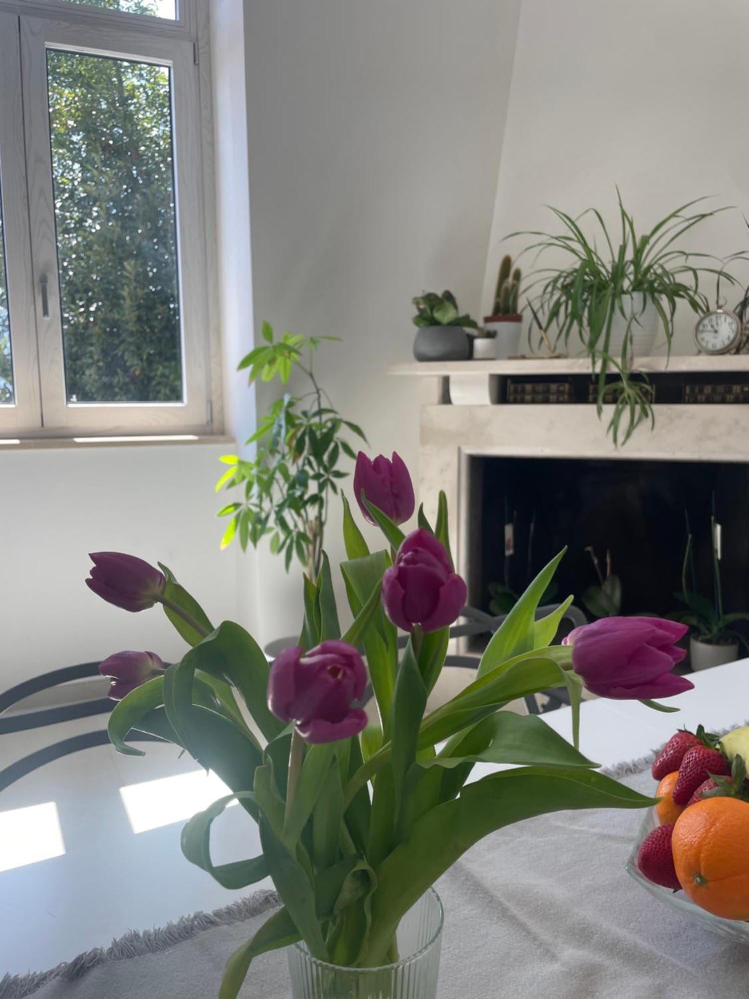 La Casa De Lu Barone Apartment San Demetrio ne' Vestini Екстериор снимка